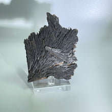 Load image into Gallery viewer, Black Kyanite Fan, Brazil
