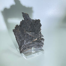Load image into Gallery viewer, Black Kyanite Fan, Brazil
