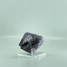 Load image into Gallery viewer, Super 8 with citrine and prasiollite from Mato Grosso, Brazil 
