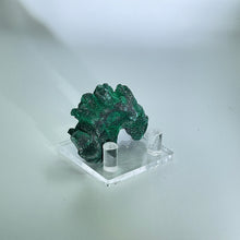 Load image into Gallery viewer, Fibrous Malachite, Shaba Province, Dem Rep of Congo
