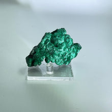 Load image into Gallery viewer, Fibrous Malachite, Shaba Province, Dem Rep of Congo
