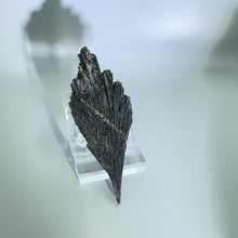 Load image into Gallery viewer, Black Kyanite Fan
