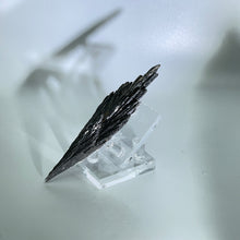 Load image into Gallery viewer, Black Kyanite Fan
