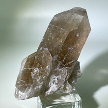 Load image into Gallery viewer, Golden Rutile Quartz Brazil
