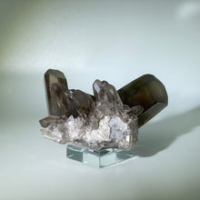 Load image into Gallery viewer, Small Smoky Cluster Brazil
