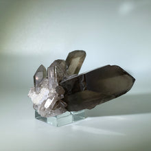 Load image into Gallery viewer, Small Smoky Cluster Brazil
