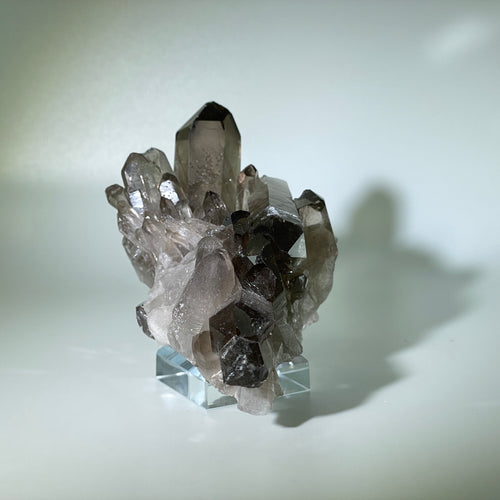 Small Smoky Cluster Brazil