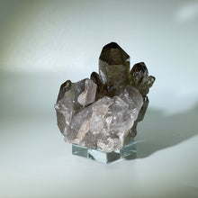 Load image into Gallery viewer, Small Smoky Cluster Brazil
