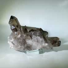 Load image into Gallery viewer, Small Smoky Cluster Brazil
