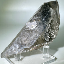 Load image into Gallery viewer, Shaman&#39;s Dream Brazil
