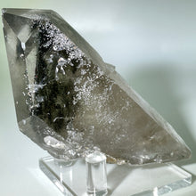 Load image into Gallery viewer, Shaman&#39;s Dream Brazil
