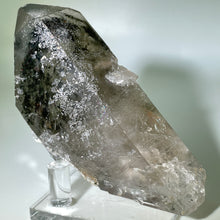 Load image into Gallery viewer, Shaman&#39;s Dream Brazil
