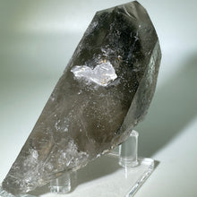 Load image into Gallery viewer, Shaman&#39;s Dream Brazil
