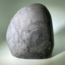 Load image into Gallery viewer, Black Galaxy Amethyst Uruguay
