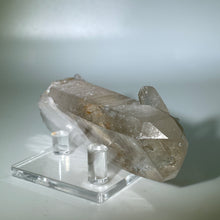 Load image into Gallery viewer, Russian Sacred Scribe Lemurian DT Inclusions
