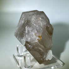 Load image into Gallery viewer, Russian Sacred Scribe Lemurian
