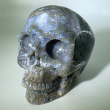 Load image into Gallery viewer, 3&quot; Hamnine Skull
