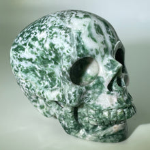 Load image into Gallery viewer, 3&quot; Moss Agate Skull
