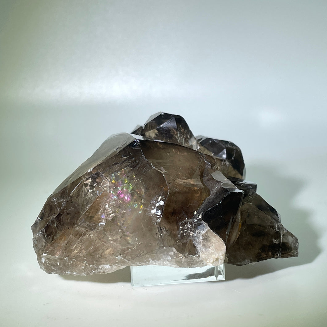 Smoky Elestial with Multiple Enhydro Brazil