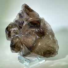 Load image into Gallery viewer, Smoky Elestial with Multiple Enhydro Brazil
