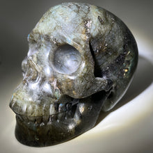Load image into Gallery viewer, 5&quot; Labradorite Carved Crystal Skull
