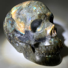 Load image into Gallery viewer, 5&quot; Labradorite Carved Crystal Skull
