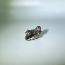 Load image into Gallery viewer, Shaman&#39;s Dream Brazil
