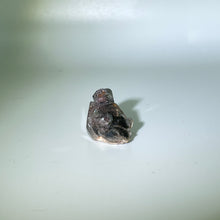 Load image into Gallery viewer, Shaman&#39;s Dream Brazil
