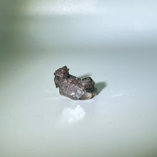 Load image into Gallery viewer, Shaman&#39;s Dream Brazil
