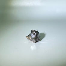 Load image into Gallery viewer, Shaman&#39;s Dream Brazil
