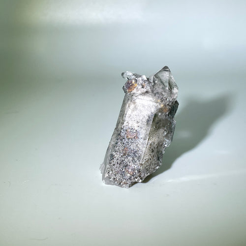 Shaman's Dream Brazil