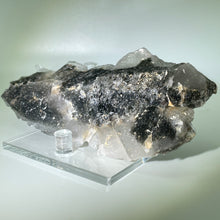 Load image into Gallery viewer, Shaman&#39;s Dream Brazil
