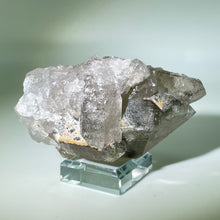 Load image into Gallery viewer, Shaman&#39;s Dream Brazil
