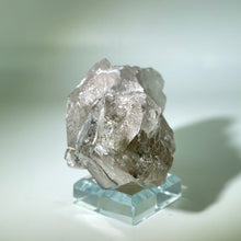 Load image into Gallery viewer, Shaman&#39;s Dream Brazil
