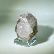 Load image into Gallery viewer, Shaman&#39;s Dream Brazil
