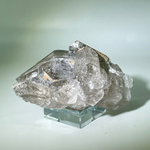 Load image into Gallery viewer, Shaman&#39;s Dream Brazil
