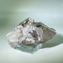 Load image into Gallery viewer, Shaman&#39;s Dream Brazil
