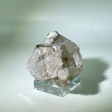 Load image into Gallery viewer, Shaman&#39;s Dream Brazil
