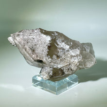 Load image into Gallery viewer, Shaman&#39;s Dream Brazil
