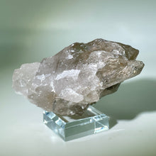 Load image into Gallery viewer, Shaman&#39;s Dream Brazil
