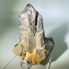 Load image into Gallery viewer, Shaman&#39;s Dream Brazil
