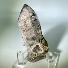 Load image into Gallery viewer, Shaman&#39;s Dream Brazil
