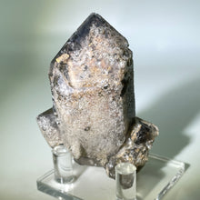 Load image into Gallery viewer, Shaman&#39;s Dream Brazil
