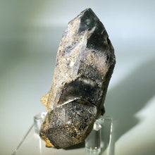 Load image into Gallery viewer, Shaman&#39;s Dream Brazil
