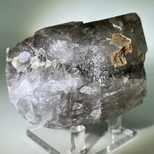 Load image into Gallery viewer, Shamans Dream Brazil
