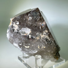 Load image into Gallery viewer, Shamans Dream Brazil
