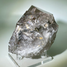 Load image into Gallery viewer, Shamans Dream Brazil
