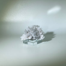 Load image into Gallery viewer, Needle Quartz Belgium
