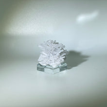 Load image into Gallery viewer, Needle Quartz Belgium
