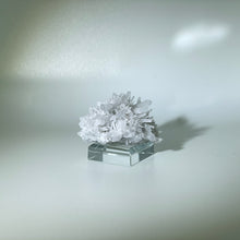 Load image into Gallery viewer, Needle Quartz Belgium
